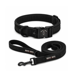 Core Collection Collar & Lead Set