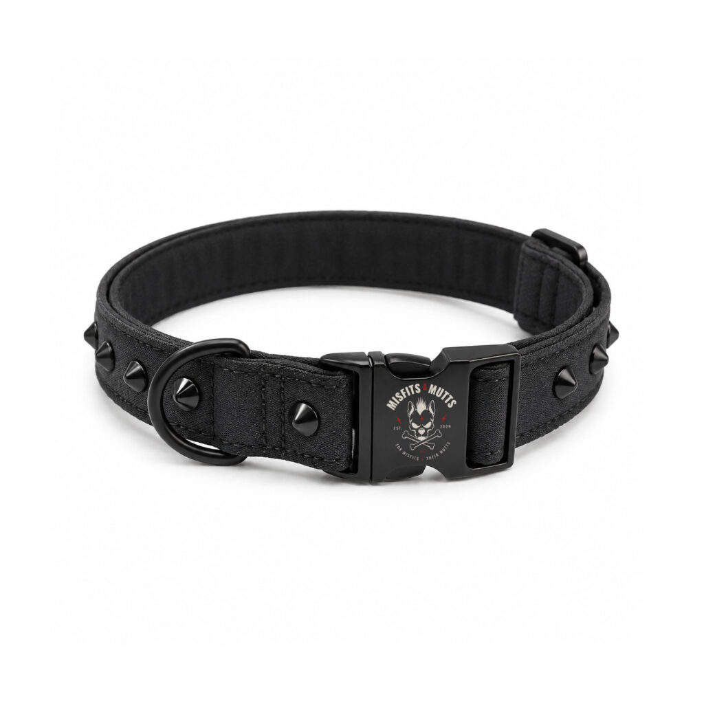 Hero Studded Dog Collar Charcoal