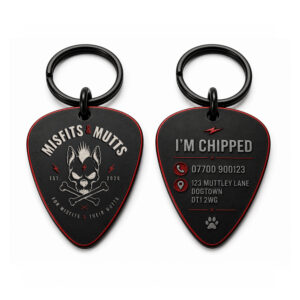 Core Collection Guitar Pick Dog ID Tag